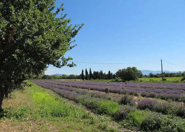 Σπίτι διακοπών La Grive By Interhome Richerenches